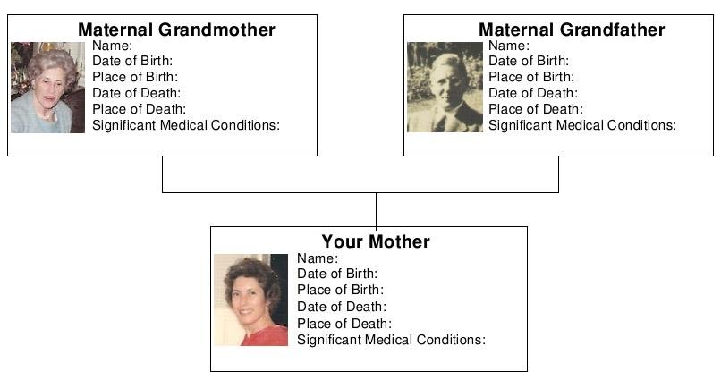 sample of tree with personal information about Maternal Grandparents and Mother