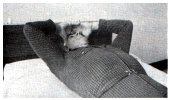 hands on forehead elbows bent to the side