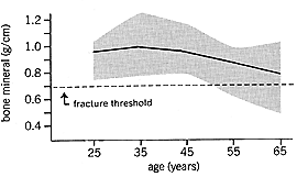 graph of the radius fracture threshold by age and bone mineral density