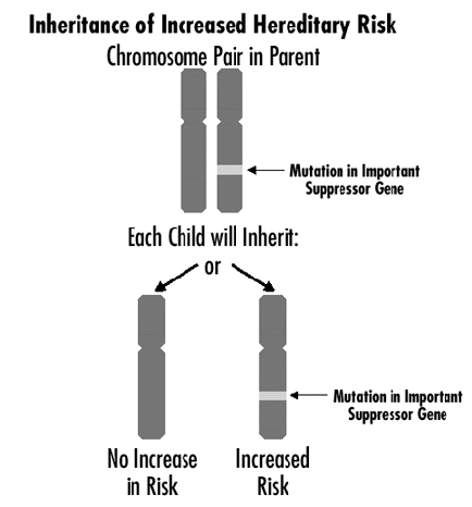 Inheritance of Increased Hereditary Risk